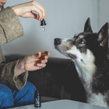 Back on Paws - 2.5% CBD oil for pets (250mg)
